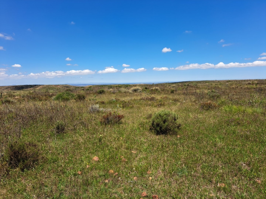 17 Bedroom Property for Sale in Riversdale Rural Western Cape